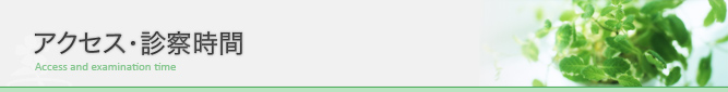 アクセス・診察時間