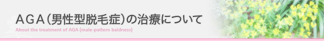 AGAの治療について